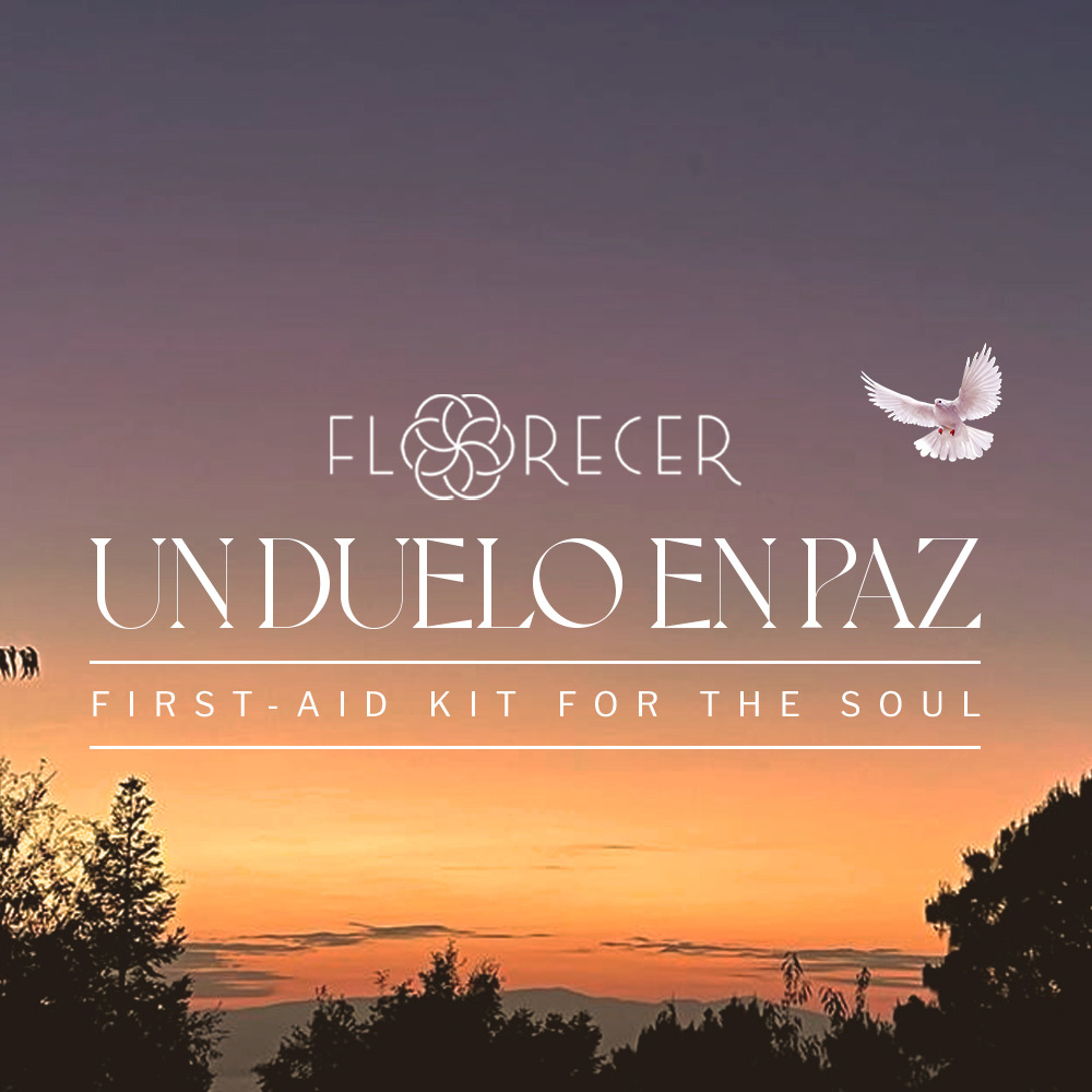 A FIRST AID KIT FOR THE SOUL THAT ACCOMPANIES YOU DURING A GRIEF PROCESS