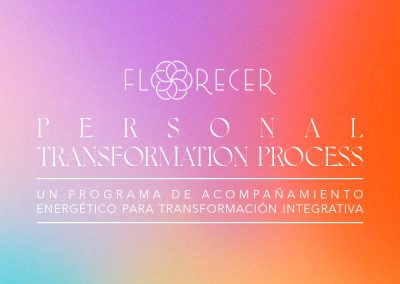 7 SESIONES PERSONALES QUE TE BRINDAN HERRAMIENTAS Y ACOMPAÑAMIENTO PARA TRANSFORMARTE