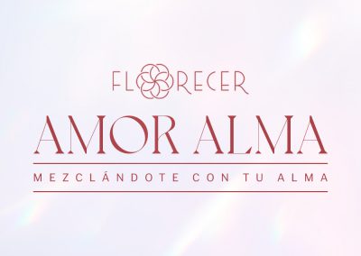 12 SESIONES A TRAVÉS DE MEDITACIÓN